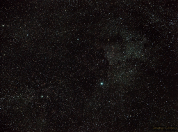 A Starfield in the Cygnus Constellation
