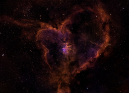 The Heart of Redmond