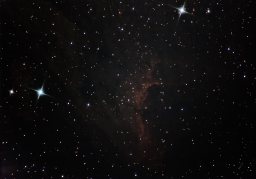 IC5070: The Pelican Nebula