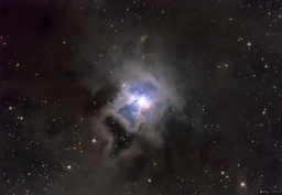 The Iris Nebula
