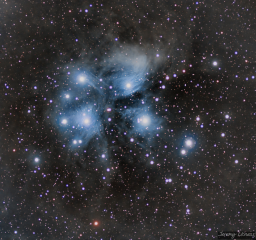 Dusty M45