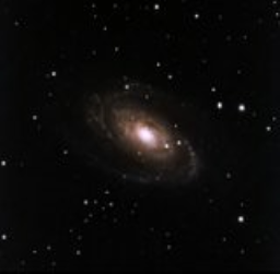 M81: Bode's Galaxy