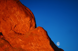 The Moon in the Garden