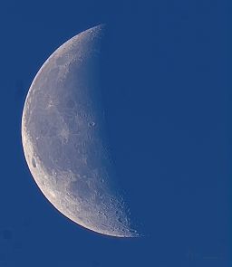 The Blue Morning Moon