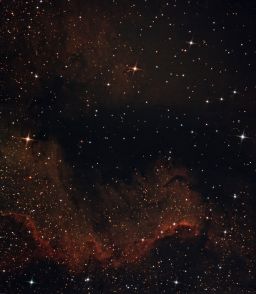 NGC7000: North America Nebula Mosaic