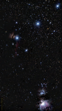 The many nebulae of Orion.