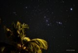 The Tropical Orion